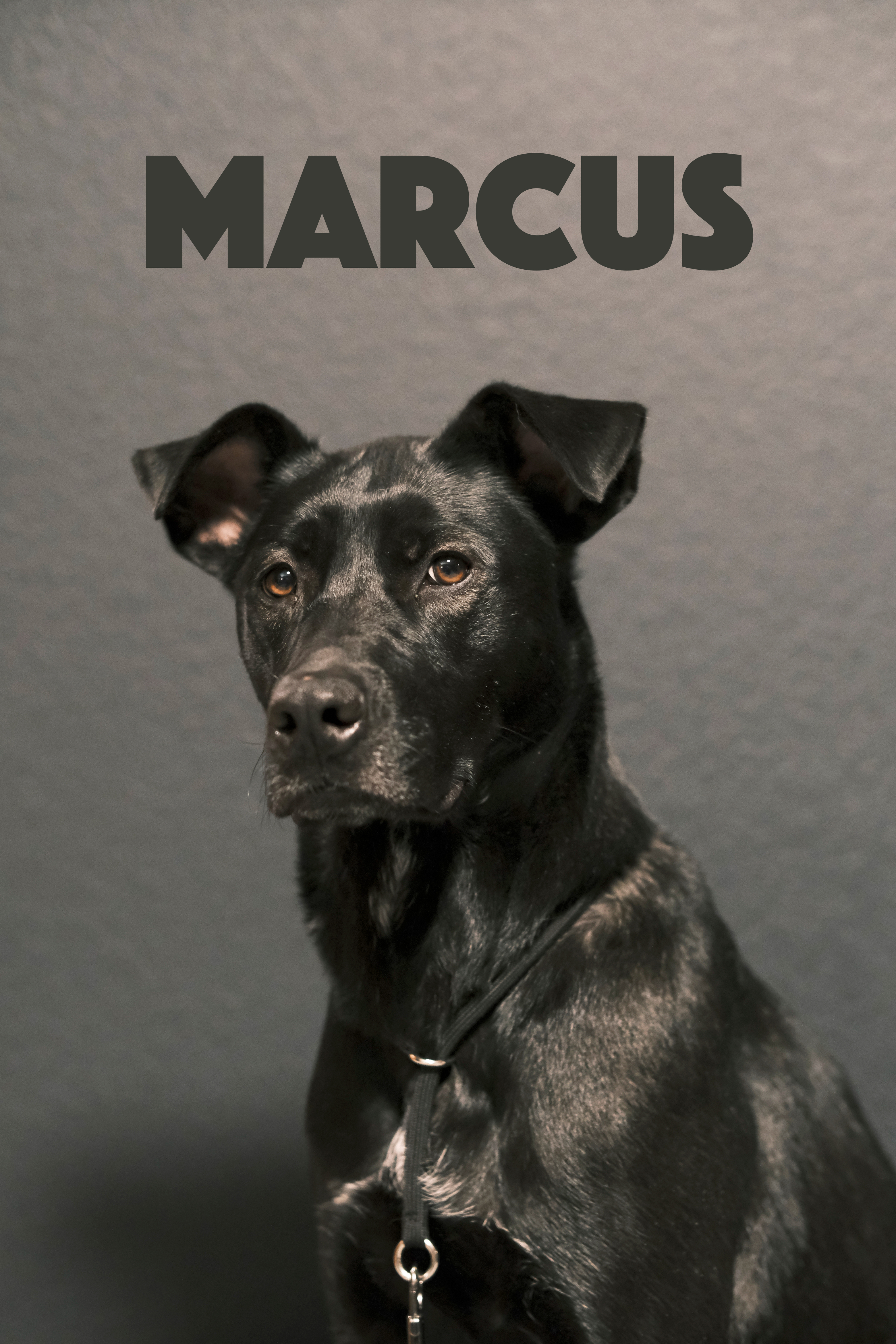 Marcus